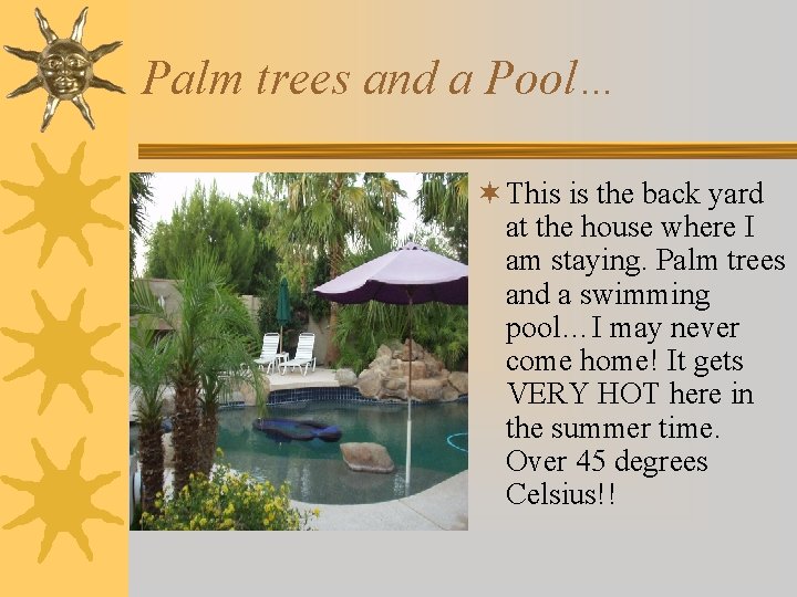 Palm trees and a Pool… ¬ This is the back yard at the house