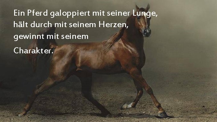 Ein Pferd galoppiert mit seiner Lunge, hält durch mit seinem Herzen, gewinnt mit seinem