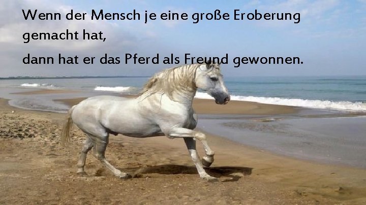 Wenn der Mensch je eine große Eroberung gemacht hat, dann hat er das Pferd