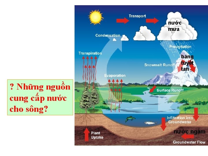 nước mưa băng tuyết tan ? Những nguồn cung cấp nước cho sông? nước