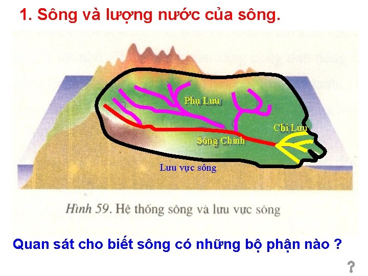 1. Sông và lượng nước của sông. Phụ Lưu Chi Lưu Sông Chính Lưu