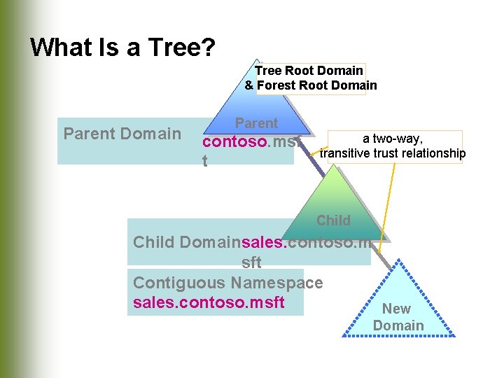 What Is a Tree? Tree Root Domain & Forest Root Domain Parent contoso. msf