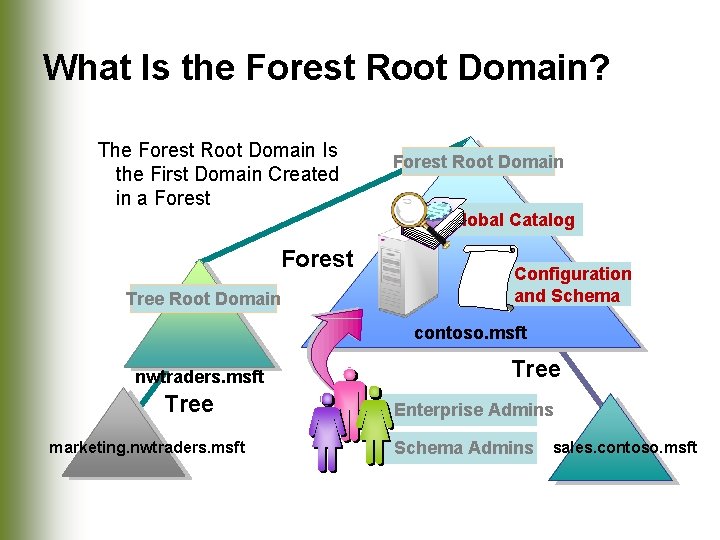 What Is the Forest Root Domain? The Forest Root Domain Is the First Domain