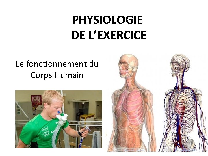 PHYSIOLOGIE DE L’EXERCICE Le fonctionnement du Corps Humain 