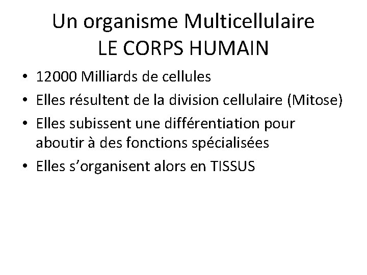 Un organisme Multicellulaire LE CORPS HUMAIN • 12000 Milliards de cellules • Elles résultent