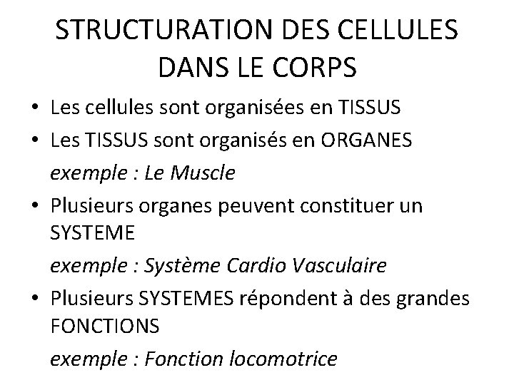 STRUCTURATION DES CELLULES DANS LE CORPS • Les cellules sont organisées en TISSUS • STRUCTURATION DES CELLULES DANS LE CORPS • Les cellules sont organisées en TISSUS •