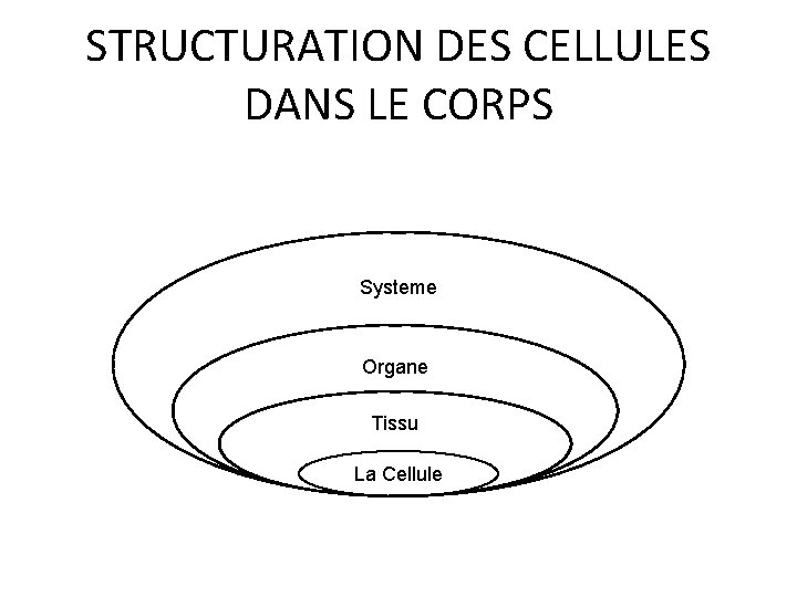 STRUCTURATION DES CELLULES DANS LE CORPS Systeme Organe Tissu La Cellule 