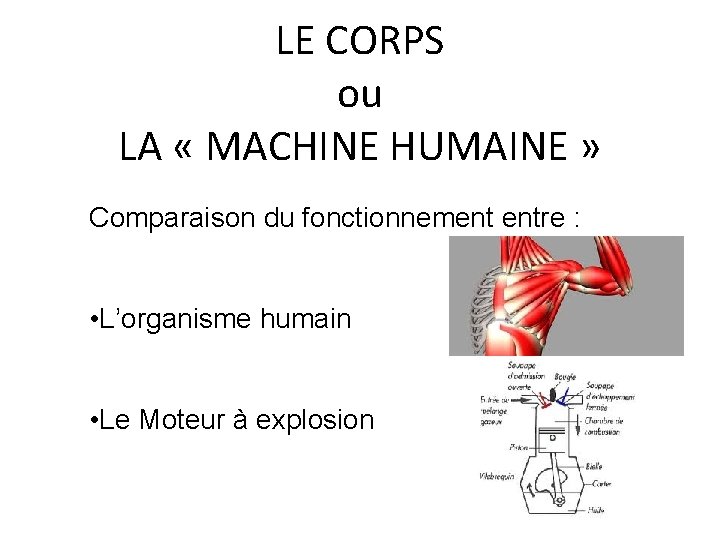 LE CORPS ou LA « MACHINE HUMAINE » Comparaison du fonctionnement entre : • LE CORPS ou LA « MACHINE HUMAINE » Comparaison du fonctionnement entre : •
