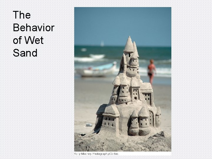 The Behavior of Wet Sand 