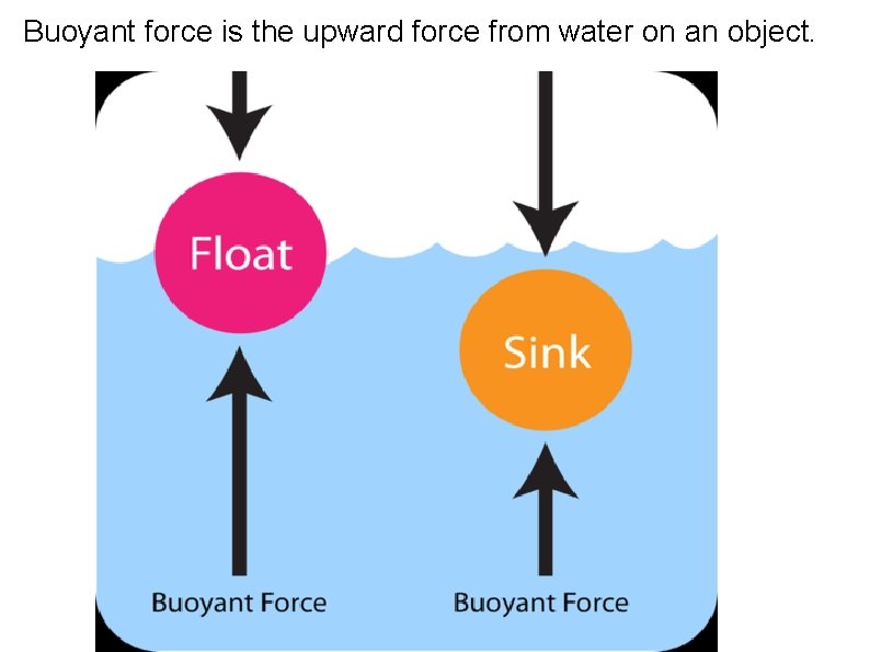 Buoyant force is the upward force from water on an object. 