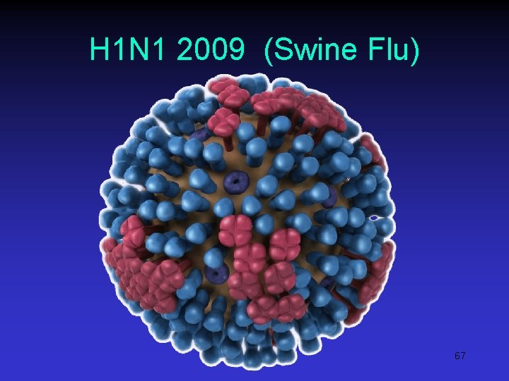 H 1 N 1 2009 (Swine Flu) 67 