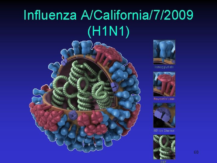 Influenza A/California/7/2009 (H 1 N 1) 68 