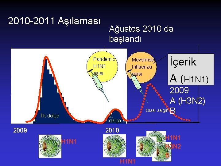 2010 -2011 Aşılaması Ağustos 2010 da başlandı Pandemic H 1 N 1 aşısı İlk