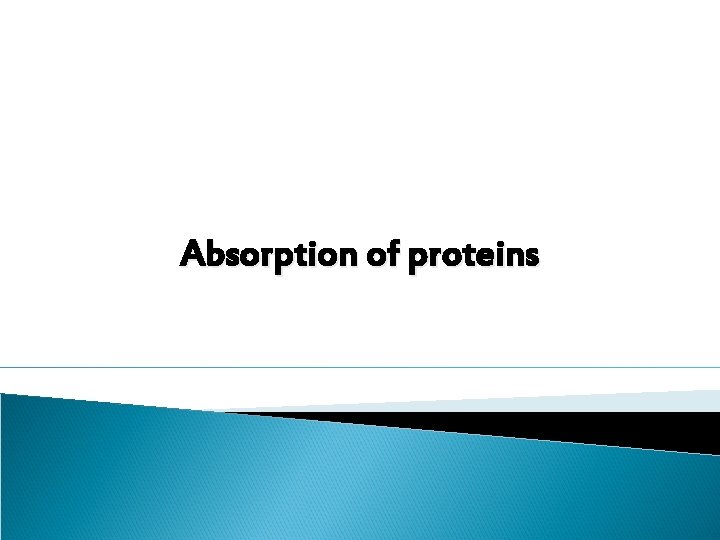 Absorption of proteins 