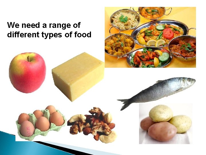 We need a range of different types of food 