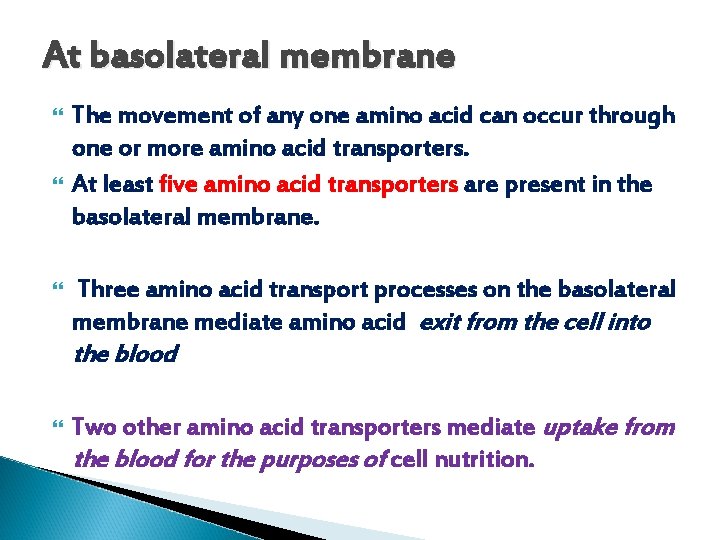 At basolateral membrane The movement of any one amino acid can occur through one