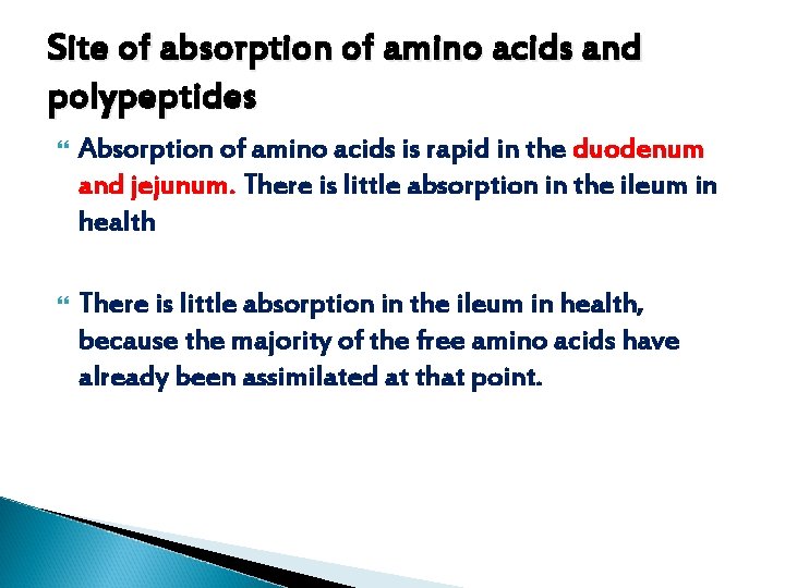 Site of absorption of amino acids and polypeptides Absorption of amino acids is rapid