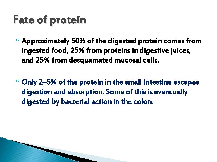 Fate of protein Approximately 50% of the digested protein comes from ingested food, 25%