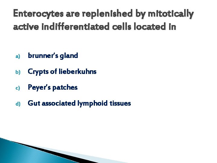 Enterocytes are replenished by mitotically active indifferentiated cells located in a) brunner’s gland b)