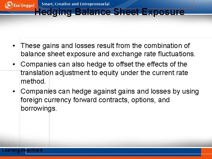 Hedging Balance Sheet Exposure • These gains and losses result from the combination of