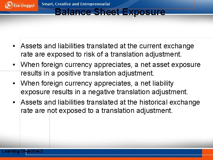 Balance Sheet Exposure • Assets and liabilities translated at the current exchange rate are