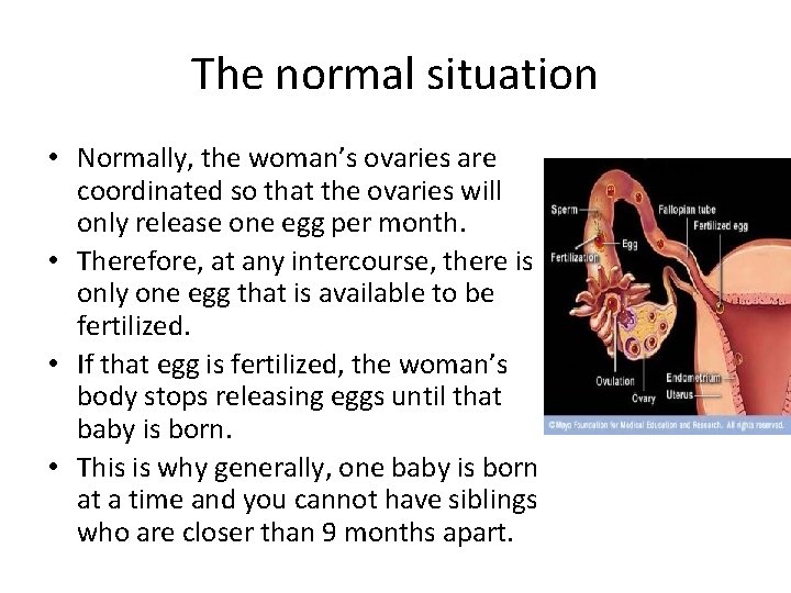 The normal situation • Normally, the woman’s ovaries are coordinated so that the ovaries The normal situation • Normally, the woman’s ovaries are coordinated so that the ovaries