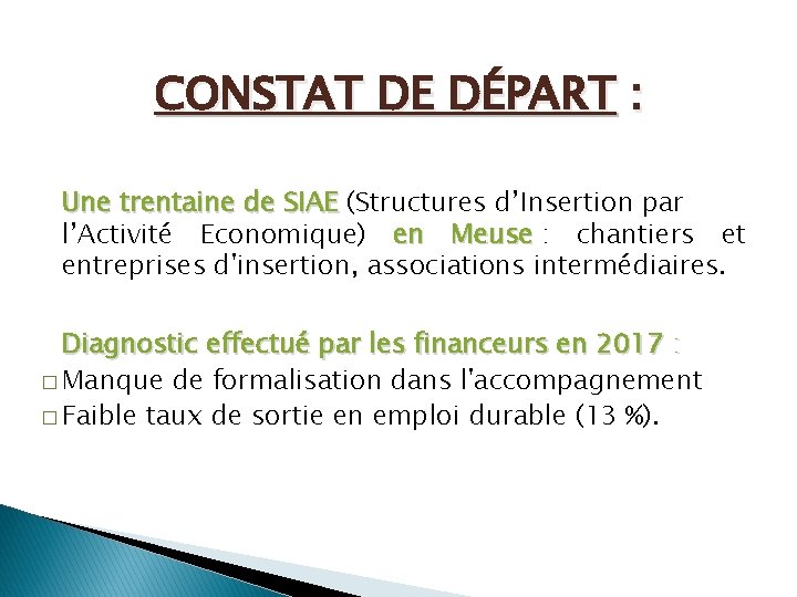 CONSTAT DE DÉPART : Une trentaine de SIAE (Structures d’Insertion par l’Activité Economique) en CONSTAT DE DÉPART : Une trentaine de SIAE (Structures d’Insertion par l’Activité Economique) en