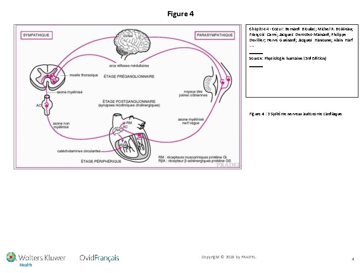 Figure 4 Chapitre 4 - Cœur: Bernard Bioulac; Michel R. Boisseau; François Carré; Jacques