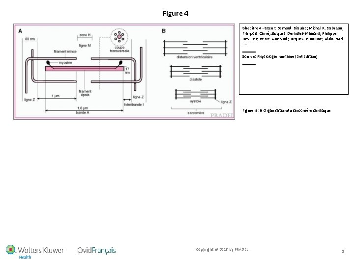 Figure 4 Chapitre 4 - Cœur: Bernard Bioulac; Michel R. Boisseau; François Carré; Jacques
