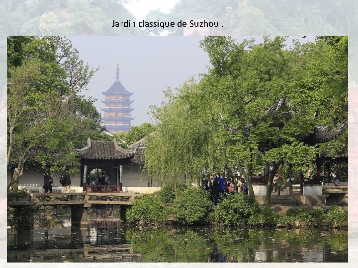 Jardin classique de Suzhou. 