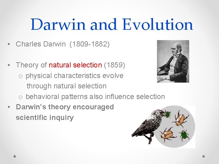 Darwin and Evolution • Charles Darwin (1809 -1882) • Theory of natural selection (1859)