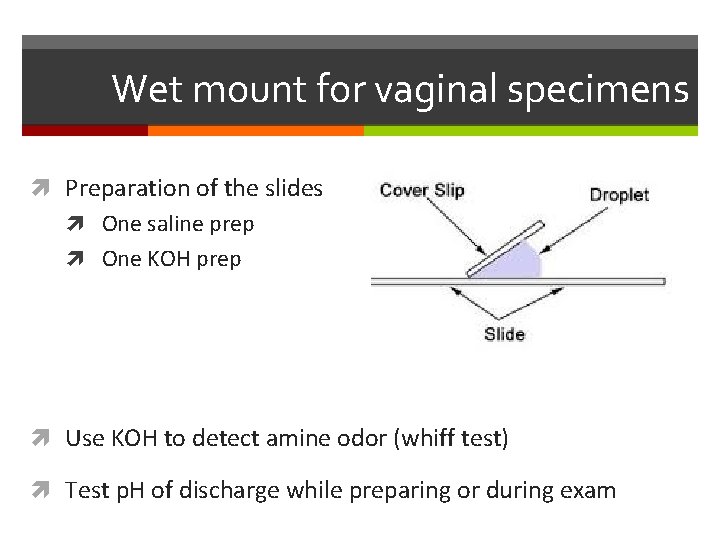Wet mount for vaginal specimens Preparation of the slides One saline prep One KOH