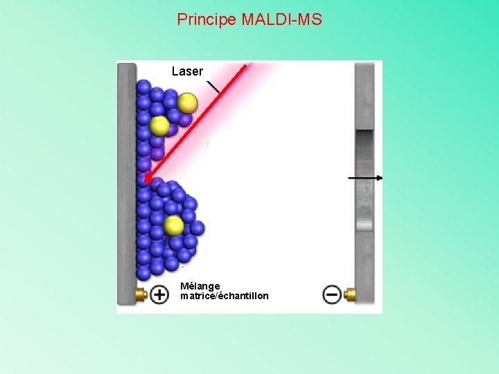 Principe MALDI-MS Laser Mélange matrice/échantillon 