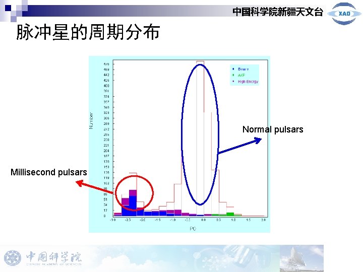 中国科学院新疆天文台 脉冲星的周期分布 Normal pulsars Millisecond pulsars 