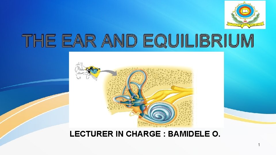 THE EAR AND EQUILIBRIUM LECTURER IN CHARGE : BAMIDELE O. 1 