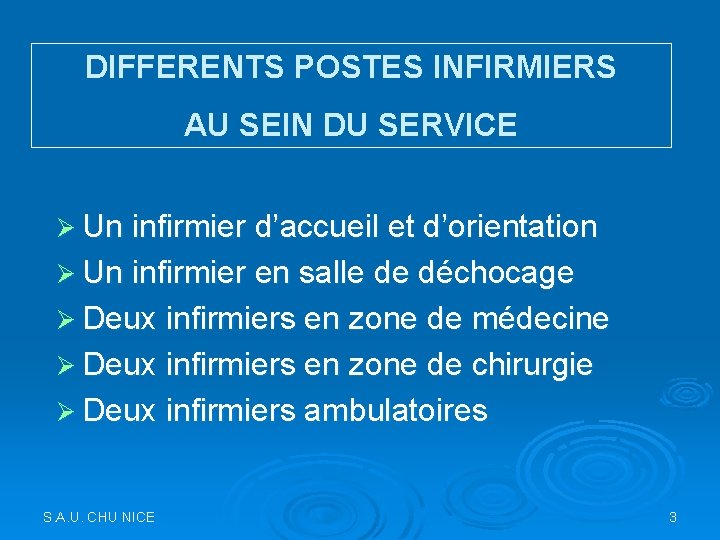 DIFFERENTS POSTES INFIRMIERS AU SEIN DU SERVICE Ø Un infirmier d’accueil et d’orientation Ø