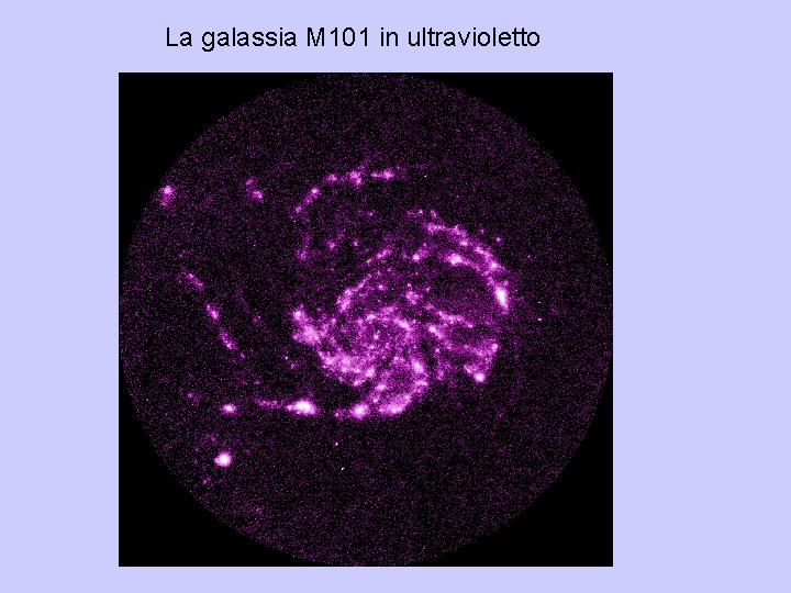 La galassia M 101 in ultravioletto 