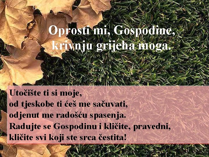 Oprosti mi, Gospodine, krivnju grijeha moga. Utočište ti si moje, od tjeskobe ti ćeš