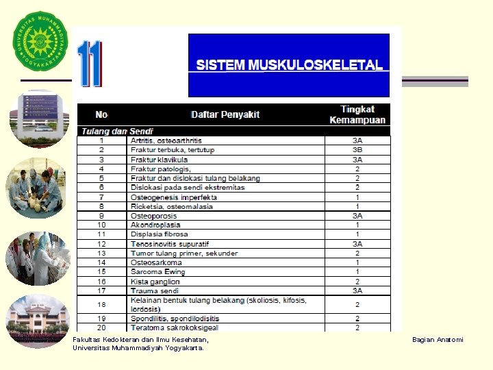 Fakultas Kedokteran dan Ilmu Kesehatan, Universitas Muhammadiyah Yogyakarta. Bagian Anatomi 