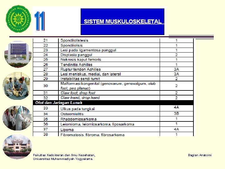 Fakultas Kedokteran dan Ilmu Kesehatan, Universitas Muhammadiyah Yogyakarta. Bagian Anatomi 