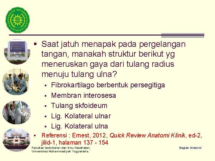 § Saat jatuh menapak pada pergelangan tangan, manakah struktur berikut yg meneruskan gaya dari