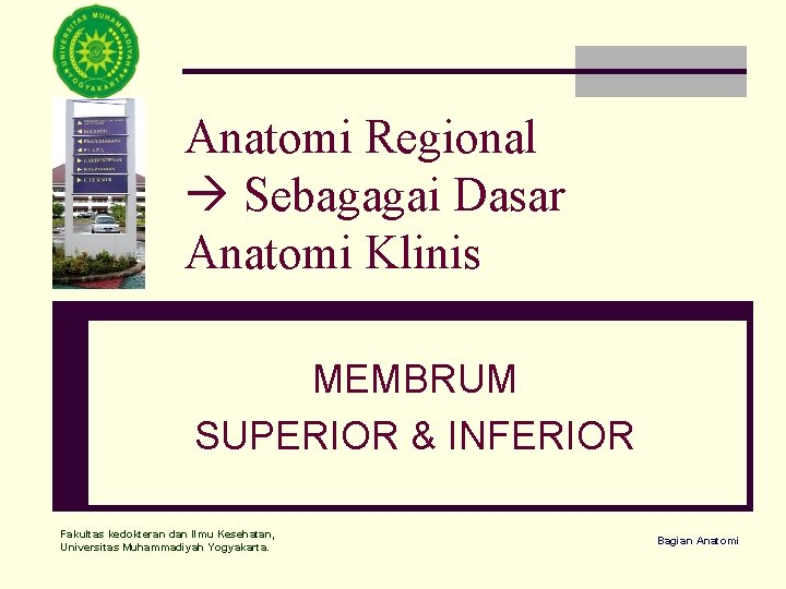 Anatomi Regional Sebagagai Dasar Anatomi Klinis MEMBRUM SUPERIOR & INFERIOR Fakultas kedokteran dan Ilmu