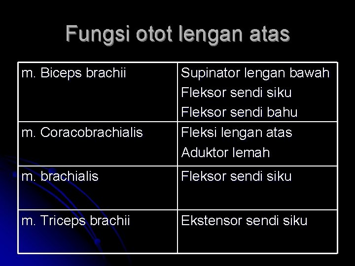 Fungsi otot lengan atas m. Biceps brachii m. Coracobrachialis Supinator lengan bawah Fleksor sendi