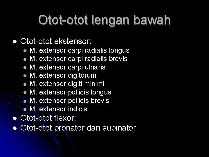 Otot-otot lengan bawah l Otot-otot ekstensor: l l l l l M. extensor carpi