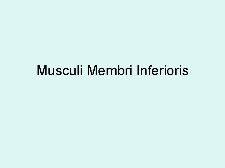 Musculi Membri Inferioris 