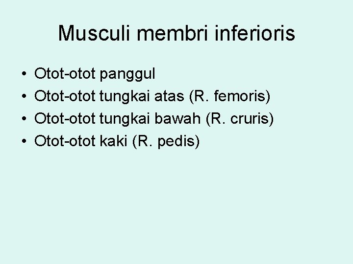Musculi membri inferioris • • Otot-otot panggul Otot-otot tungkai atas (R. femoris) Otot-otot tungkai