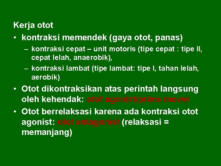 Kerja otot • kontraksi memendek (gaya otot, panas) – kontraksi cepat – unit motoris