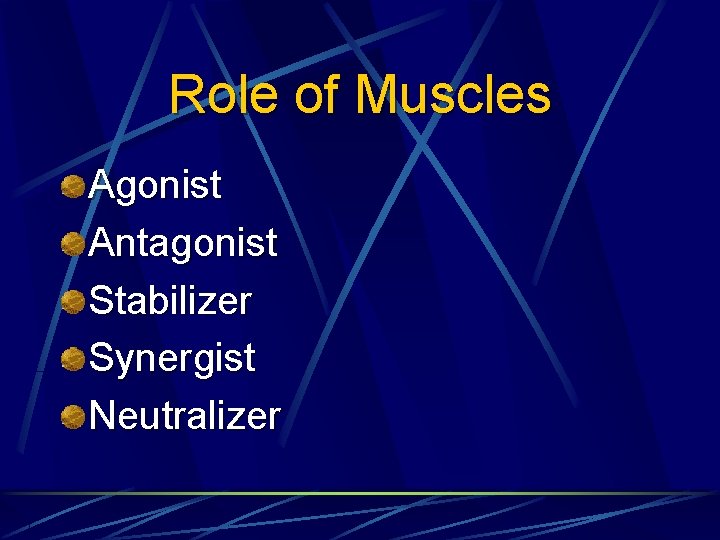 Role of Muscles Agonist Antagonist Stabilizer Synergist Neutralizer 