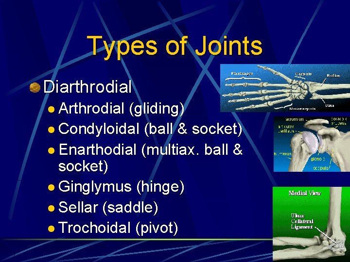 Types of Joints Diarthrodial l Arthrodial (gliding) l Condyloidal (ball & socket) l Enarthodial