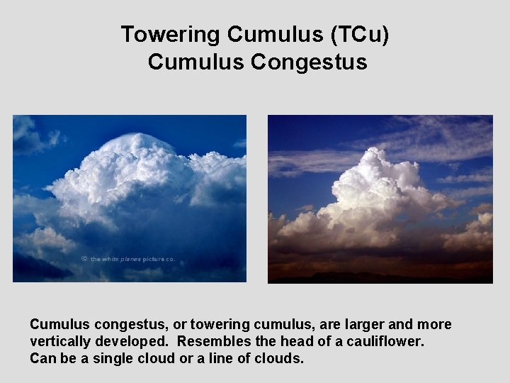 Towering Cumulus (TCu) Cumulus Congestus Cumulus congestus, or towering cumulus, are larger and more